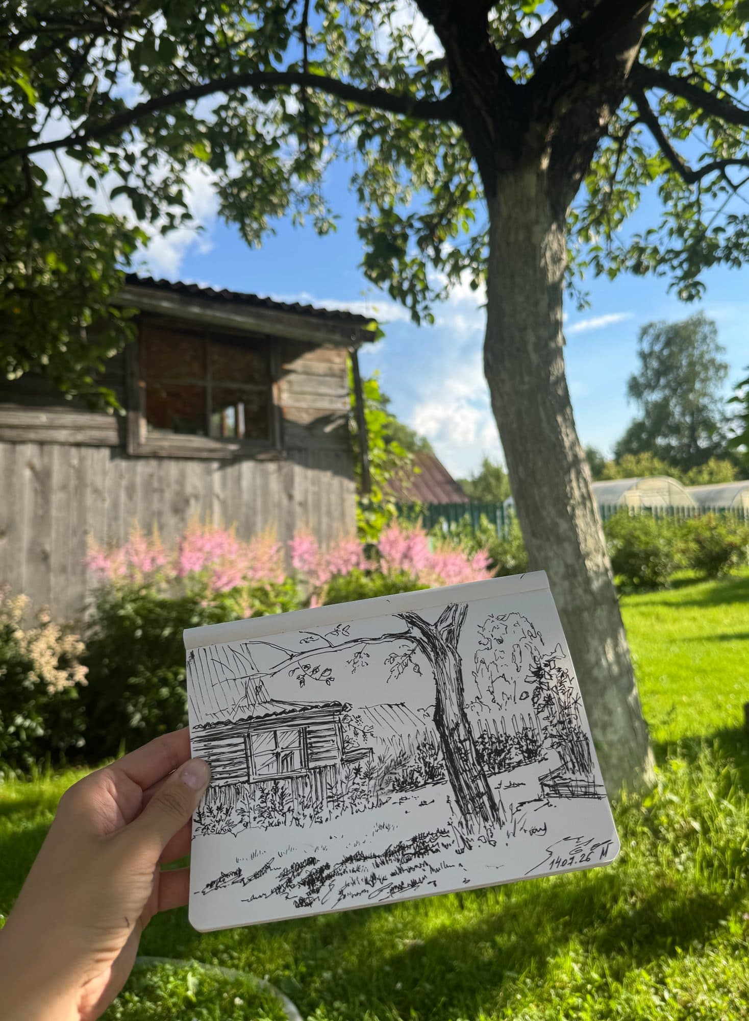 Скетч под яблоней